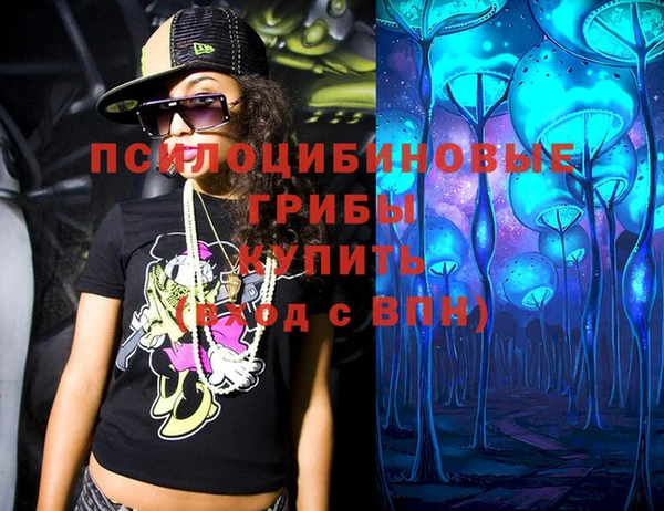 СК Арсеньев